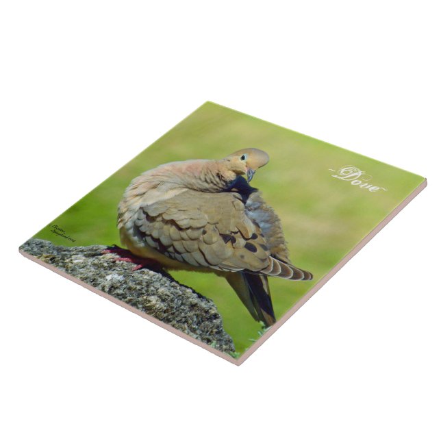 Cute Mourning Dove Ceramic Tile Kakelplatta (Sidan)