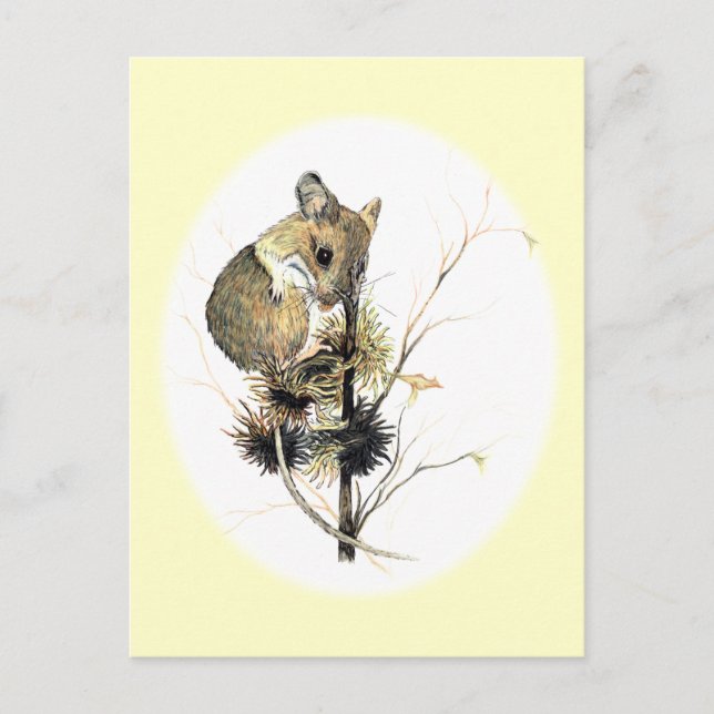Cute Mouse-vykort Vykort (Framsida)