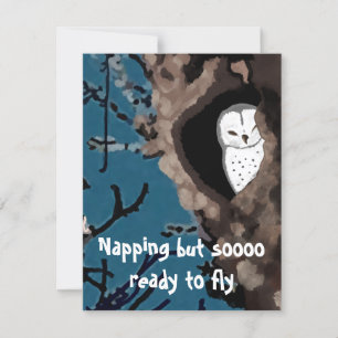 Cute Napping Uggla Illustration så Redo till Fly