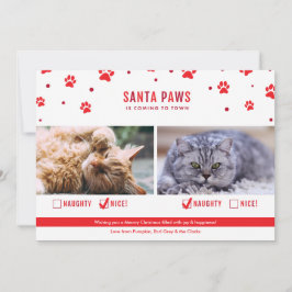 Cute Naughty eller Nice 2 Kat-julfoto Julkort