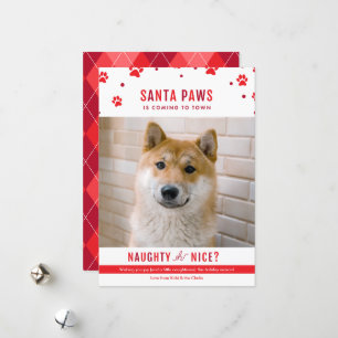 Cute Naughty eller Nice Hund Julfoto Julkort
