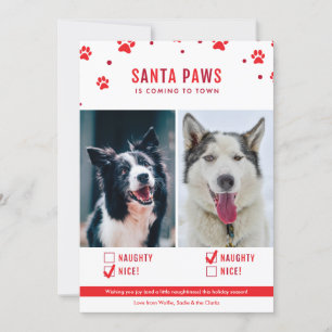 Cute Naughty eller Nice Två Hund julfoto Julkort