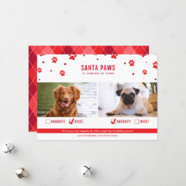 Cute Naughty eller Nice Två Hund julfoto Julkort