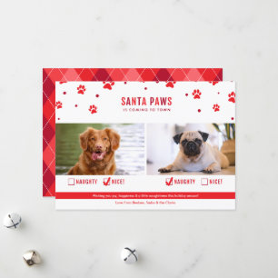 Cute Naughty eller Nice Två Hund julfoto Julkort