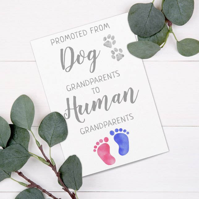 Cute New Grandparent-Gravid från Hund Meddelande (Skapare uppladdad)