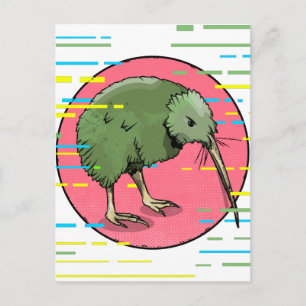 Cute New Zealand Kiwi Vykort