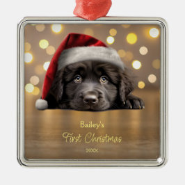Cute Newfoundland Hund Santa Hat Personlig Julgransprydnad Metall