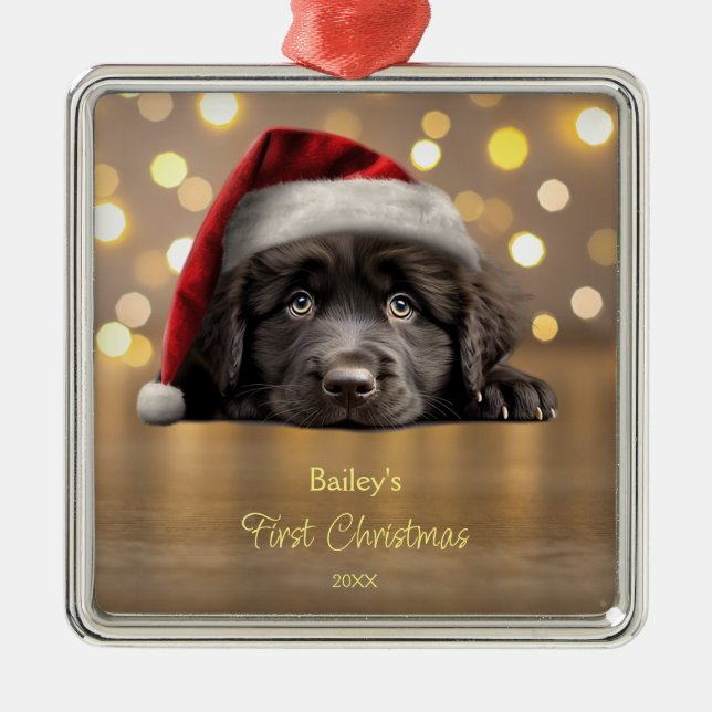 Cute Newfoundland Hund Santa Hat Personlig Julgransprydnad Metall (Framsidan)