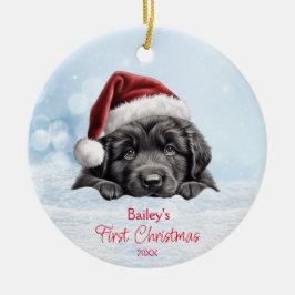 Cute Newfoundland Hund Snö Santa Hat 1:a jul Julgransprydnad Keramik