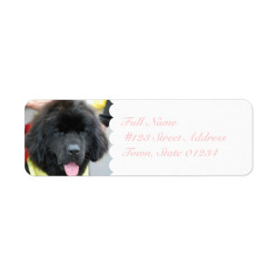 Cute Newfoundland-mejseletiketter Returadress Etikett