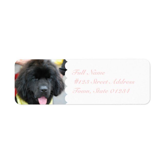 Cute Newfoundland-mejseletiketter Returadress Etikett (Framsidan)