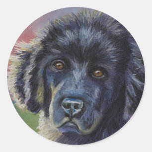 Cute Newfoundland Puppy Hund Art - Runt Klistermärke