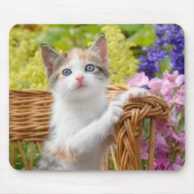 Cute Nosy Baby Cat Kitten i en Blommar Garden Musmatta (Framsidan)