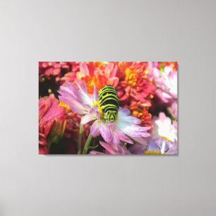 Cute Nosy Catercolumn N Morsa Wrapped Canvas