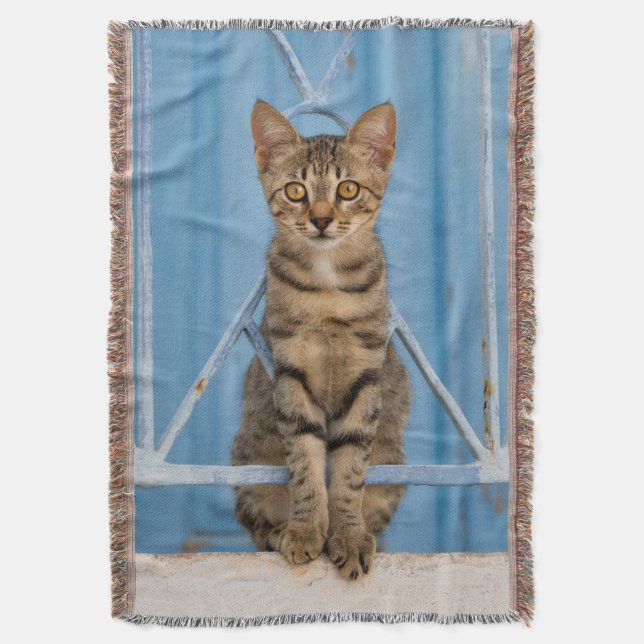 Cute Nosy Tabby katt Kitten Sitta i en blå stängsl Filt (Framsidan Vertikal)