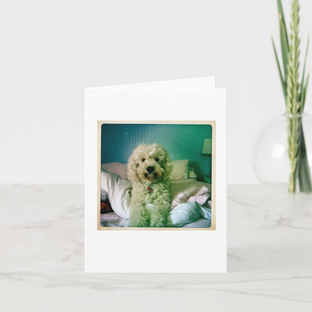 Cute Notecard Goldendoodle Kort (Framsida)