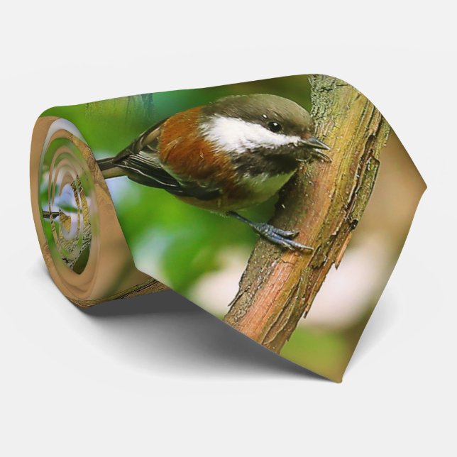 Cute Nyfiken Chestnut-Backed Chickadee Songbird Slips (Rullad)