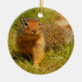 Cute Nyfiken Columbian Ground Squirrel Julgransprydnad Metall