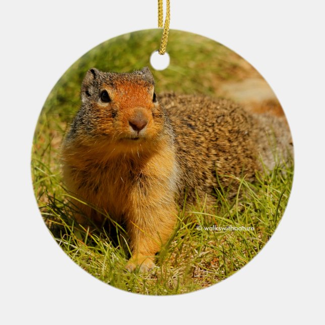 Cute Nyfiken Columbian Ground Squirrel Julgransprydnad Metall (Framsidan)