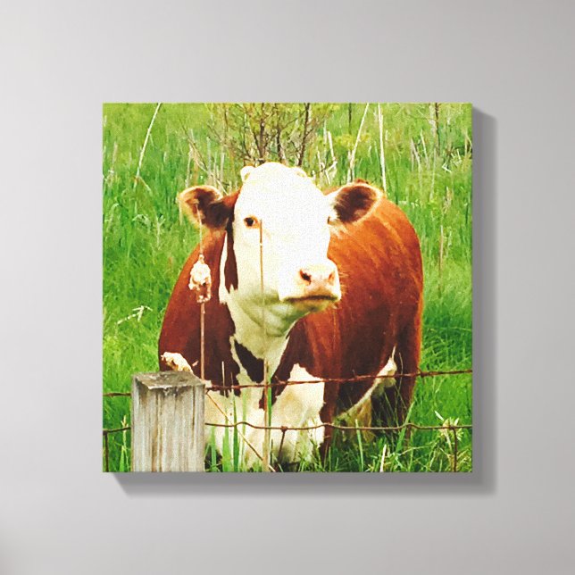 Cute Nyfiken Cow 4Carrie Canvastryck (Framsida)