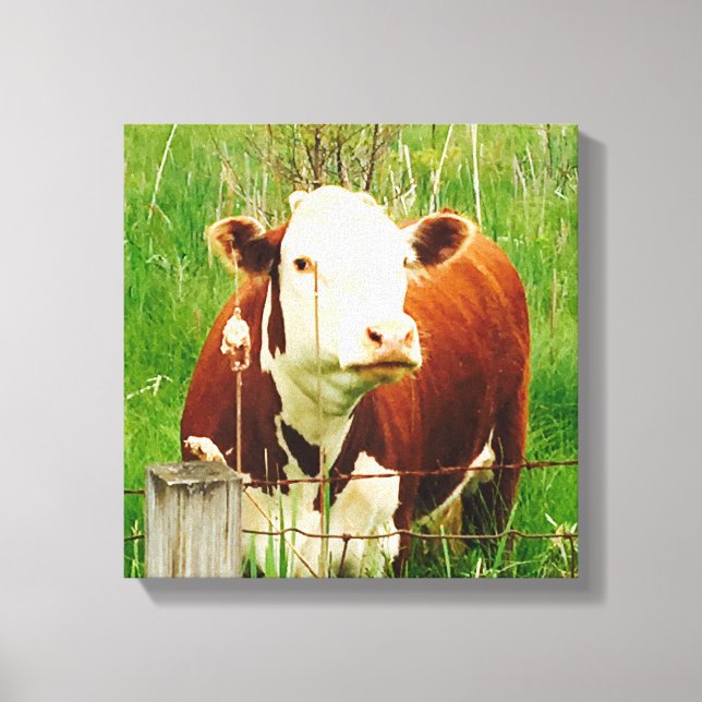 Cute Nyfiken Cow 4Carrie Canvastryck (Framsida)