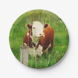 Cute Nyfiken Cow 4Lilly