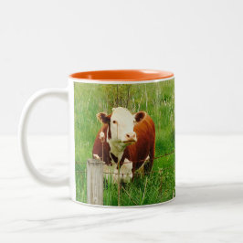 Cute Nyfiken Cow Brown-Grönt 4 Mal Kaffemugg