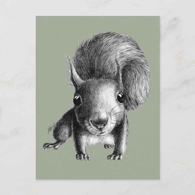 Cute Nyfiken Squirrel Vykort (Framsida)