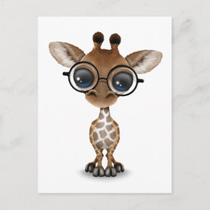 Cute Nyfikna Baby Giraffe Wearing Glass Vykort