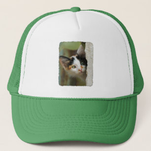 Cute Nyfiknare kattkattkattpäls Ögon Porträtt Keps