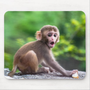 Cute och Adsible Baby Monkey Musmatta