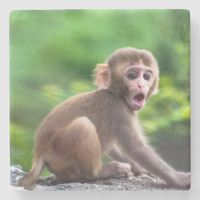Cute och Adsible Baby Monkey Stenunderlägg (Framsidan)