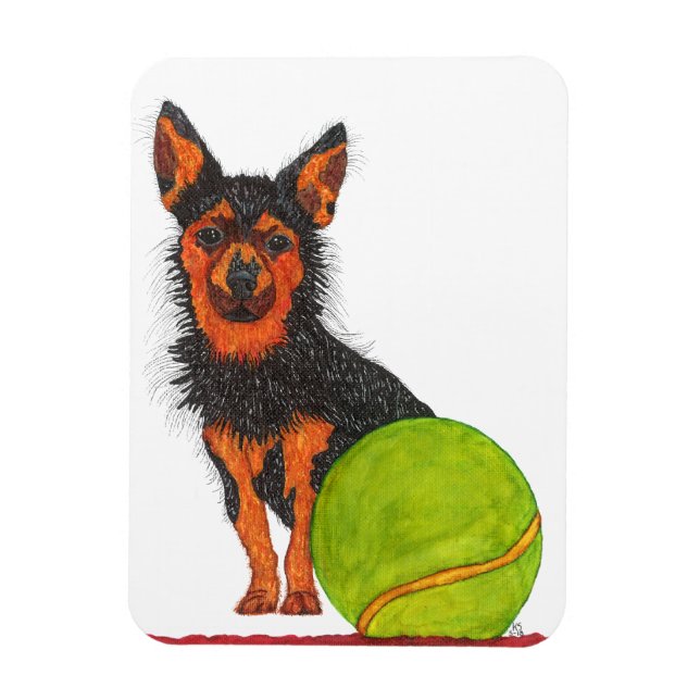 Cute och Adsible Chorkie Hund Magnet 3"x4" (Vertikal)