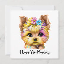 Cute och Adworthy Baby Yorkie