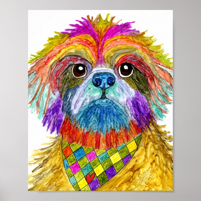 Cute och Colorful Shih Tzu Poster 8" x 10" (Framsidan)