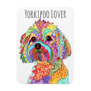 Cute och Colorful Yorkipoo Hund Magnet 3"x4"