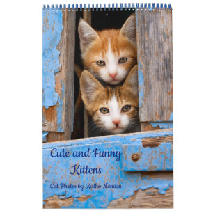 Cute och Funny Kittens Cat Photo Kalender