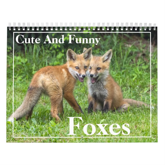 Cute och Funny Red Foxes Calendar Kalender (Omslag)