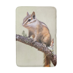 Cute och knubbig chipmunk badrumsmatta