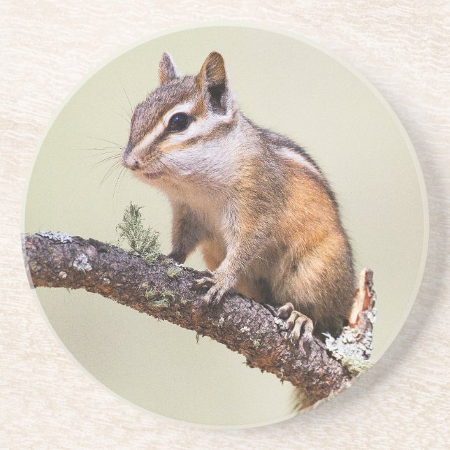 Cute och Knubbig Chipmunk Underlägg (Framsidan)