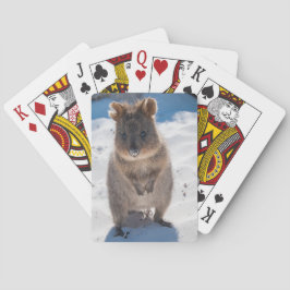 Cute och lycklig quokka på stranden i Australien Casinokort