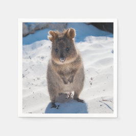 Cute och lycklig Quokka på stranden i Australien Pappersservett