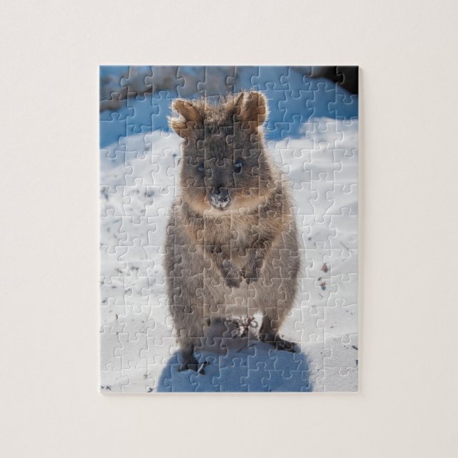 Cute och lycklig Quokka på stranden i Australien Pussel (Vertikal)
