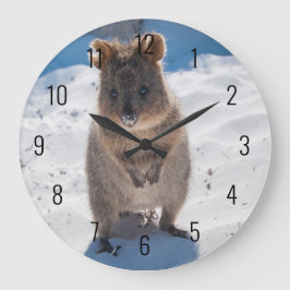 Cute och lycklig Quokka på stranden i Australien Stor Klocka