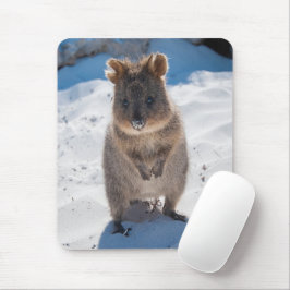 Cute och lycklig Quokka på stranden i lodrät Musmatta