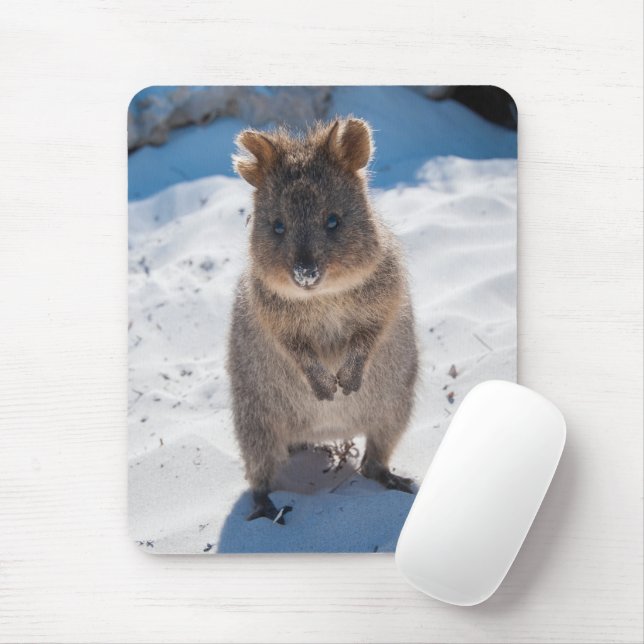 Cute och lycklig Quokka på stranden i lodrät Musmatta (Med mus)