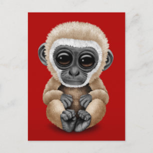 Cute och Nyfikna Baby Gibbon on Red Vykort