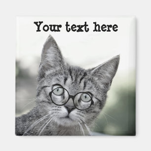 Cute och överraskad katt med glasmagnet magnet