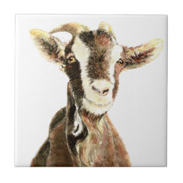 Cute Old Goat, Farm Animal Humor Kakelplatta