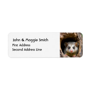 Cute Oppossum Animal Nature Wildlife Art Returadress Etikett